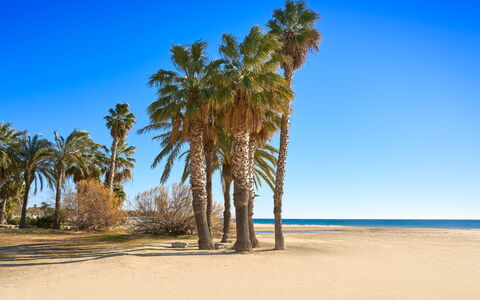 Neptuno: Blu, Spiaggia, Estate, Paesaggio, Sabbia, Costa, Tronco, Mare, Costiera E Morfologie Oceanic, Tropici