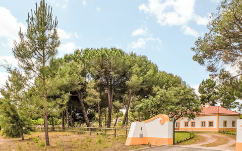 Villa Dos Sobreiros: Albero, Foglia, Ramo, Paesaggio, Lotto, Plain, Suolo, Shade, Landscaping