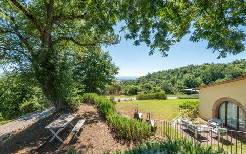 Cignella Resort: Albero, Foglia, Vegetazione, Paesaggio Naturale, Arbusto, Paesaggio, Lotto, Area Rurale, Comunita 'Impianto