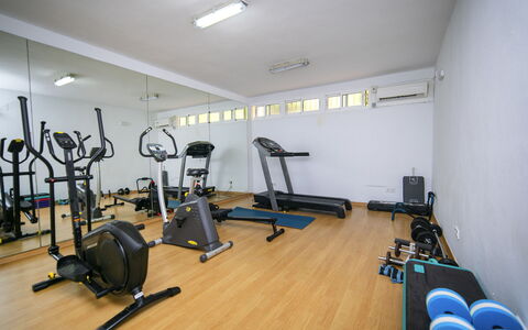 Altea Natura: Pavimentazione, Pavimento, Camera, Soffitto, Interior Design, Illuminazione, Apparecchiatura Esercitazione, Macchina Per Allenamento, Mobilia, Palestra