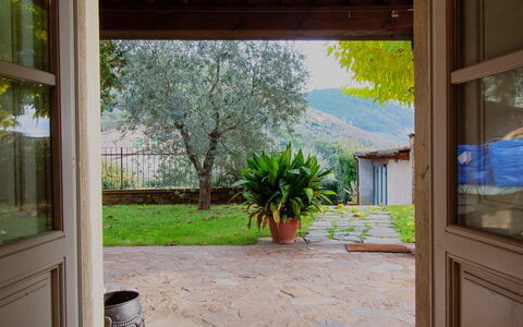 Vicarisa: Geografia Montane, Vegetazione, Montagna, Collina, Arbusto, Hill Station, Villaggio, Hacienda, Eco Hotel