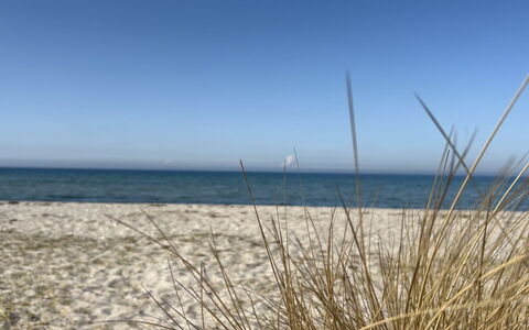 Holmfridur - 1.1Km from the Sea: Blu, Orizzonte, Spiaggia, Costa, Mare, Ecoregione, Costiera E Morfologie Oceanic, Riva, Sabbia
