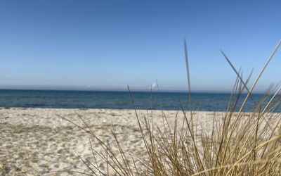 Holmfridur - 1.1Km from the Sea