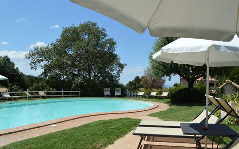 Agriturismo Bellavista, Private Pool, Val D'Orcia: Piscina, Mobili Da Esterno, Mobilia, Ricorrere, Shade, Giardino, Eco Hotel, Lettino, Tavolo Esterno, Landscaping