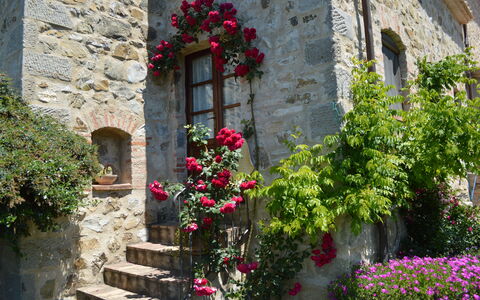 Agriturismo Bellavista, Private Pool, Val D'Orcia: Fiore, Parete, Verde, Arbusto, Petalo, Rosa, Primavera, Muro ​​Di Pietra, Giardino