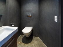 Luxuswohnung Chalet Swiss Alp