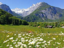 Wohnung mit 2 Schlafzimmern “Alleschwendi”
