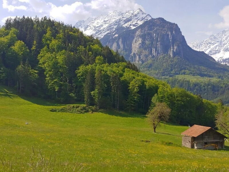 Wohnung mit 2 Schlafzimmern “Alleschwendi”