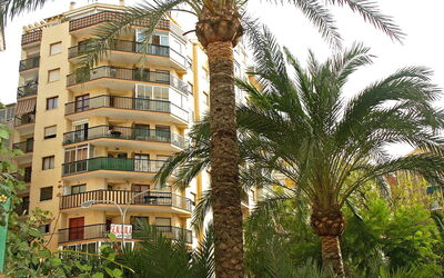 Calpe Calp 390: Pianta, Costruzione, Proprietà, Finestra, Cielo, Albero, Impianto Terrestre, Arecales, Vegetazione, Casa