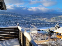 Bayvista, die Bayerwald Lodge mit Bergblick