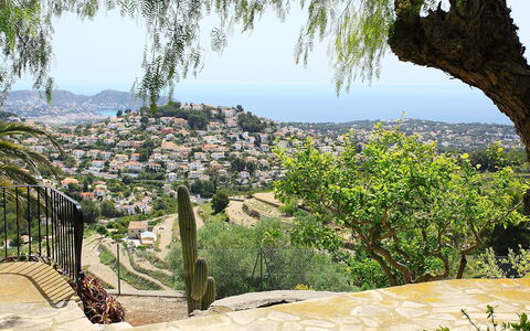 Baile del Sol: Vegetazione, Albero, Roccia, Formazione, Botanica, Cielo, Comunita 'Impianto, Pianta, Paesaggio, Adattamento