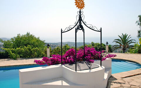 Baile del Sol: Vaso Di Fiori, Vacanza, Fiore, Botanica, Pianta, Tempo Libero, Albero, Turismo, Pianta Della Casa, Giardino
