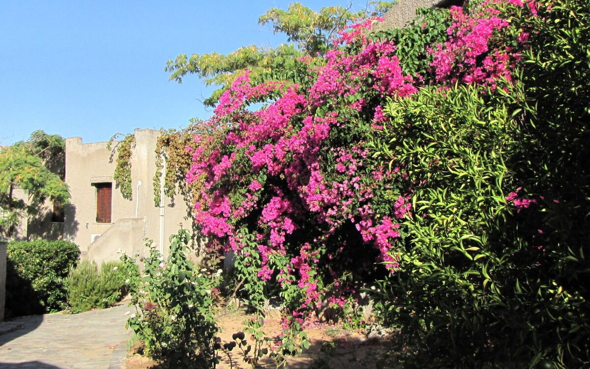 Bungalows für 2-4 Pers. mit Meerblick