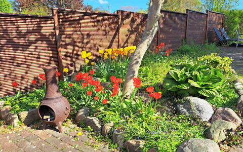 Noreen - 500M from the Sea: Fiore, Giardino, Arbusto, Groundcover, Backyard, Primavera, Landscaping, Cortile, Pianta Erbacea