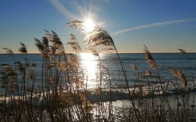 Selinda - 250M from the Sea
