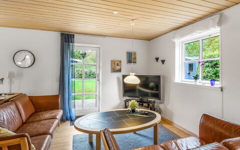 Tomassine: Interior Design, Pavimentazione, Mobilia, Legna, Pavimento, Soffitto, Divano, Pavimento In Legno, Soggiorno, Casa
