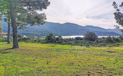 Maisonnette Terra Tramandera 600.2: Giorno, Albero, Costruzione, Appartamento, Zona Residenziale, Città, Quartiere, Condominio, Urban Design, Insediamento Umano