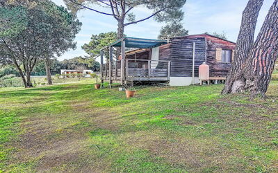 Chalet Terra Tramandera 600.1: Lotto, Shade, Prato, Cortile, Giardino, Edifici Giardino, Backyard, Landscaping, Parco, Log Cabin