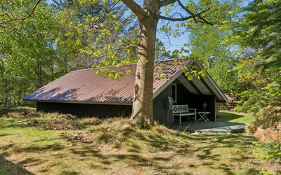 Elfrede - 900M from the Sea