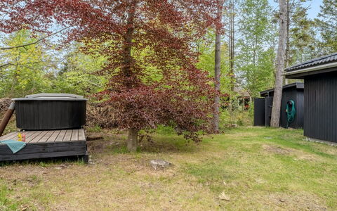 Felippa - from the Sea: Erba, Legna, Area Rurale, Arbusto, Villetta, Tetto, Plain, Lotto, Casa, Groundcover