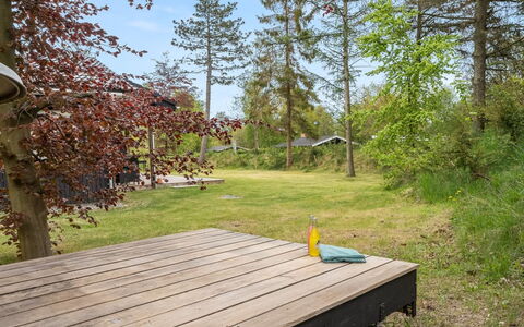 Felippa - from the Sea: Erba, Legna, Area Rurale, Arbusto, Villetta, Tetto, Plain, Lotto, Casa, Groundcover