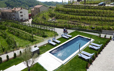 Villa Valdobbiadene Pool Spa: Urban Design, Giardino, Cortile, Piscina, Landscaping, Agricoltura, Piantagione, Visione Globale, Backyard, Villa