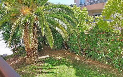 L'Iris: Giardino, Woody Impianto, Landscaping, Cortile, Giardino Botanico, Backyard