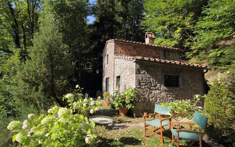 Il Gallinaio, Vivo D'Orcia: Arbusto, Casa, Villetta, Casa, Primavera, Groundcover, Giardino, Landscaping, Agriturismo