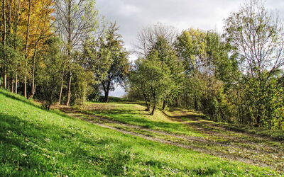 Green Valley Park Stárkov 9