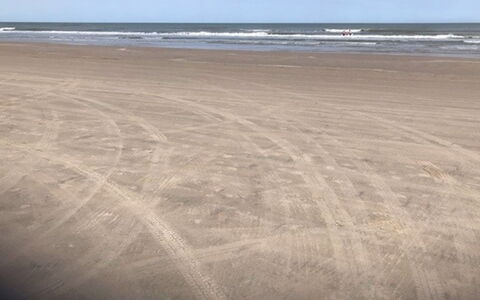 Answald - 250M from the Sea: Ambiente Naturale, Spiaggia, Orizzonte, Ecoregione, Sabbia, Plain, Riva, Mare, Costa, Oceano