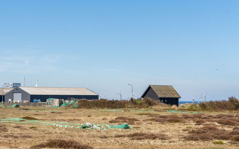 Edy - 75M from the Sea: Cielo, Erba, Ecoregione, Pascolo, Plain, Lotto, Area Rurale, Comunita 'Impianto, Prateria, Steppa