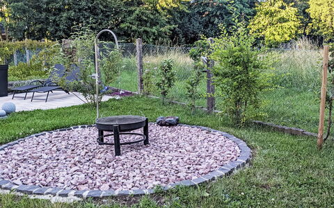 Helfrichs Ferienwohnung: Erba, Giardino, Groundcover, Prato, Backyard, Cortile, Suolo, Landscaping