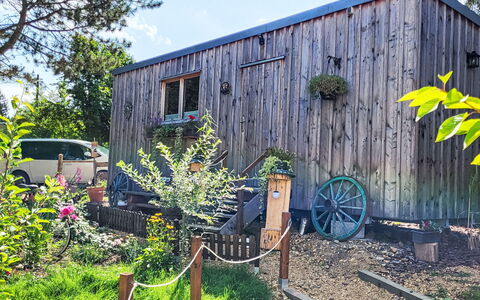 Tiny House Cottage Herbert: Legna, Villetta, Capannone, Edifici Giardino, Porta, Raccordo, Latifoglie, Color Legno, Log Cabin, Giardino