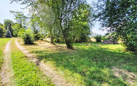 Tiny House Cottage Herbert: Verde, Erba, Foglia, Albero, Vegetazione, Paesaggio Naturale, Estate, Arbusto, Pascolo, Plain