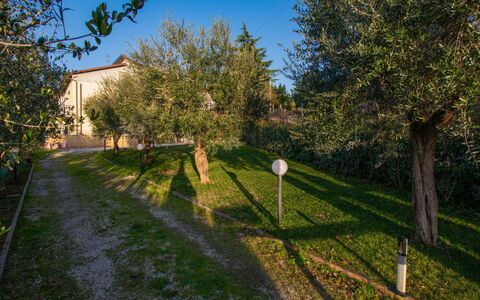 Tre Fontane: Erba, Foglia, Ramo, Arbusto, Giardino, Luce Del Sole, Ramoscello, Mattina, Prato, Landscaping