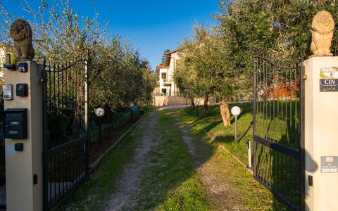 Tre Fontane: Recinzione, Giardino, Cancello, Estate, Home Scherma, Cortile, Landscaping, Backyard
