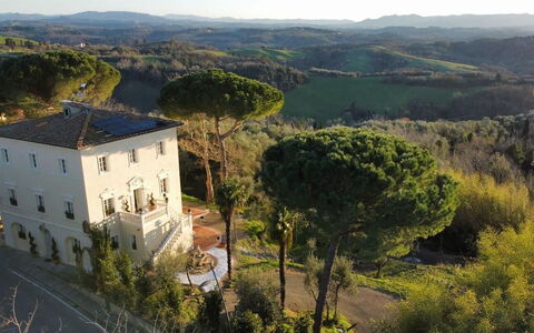 Villa Elisa: Zona Residenziale, Casa, Architettura, Arbusto, Paesaggio, Estate, Casa, Insediamento Umano, Dimora, Hacienda