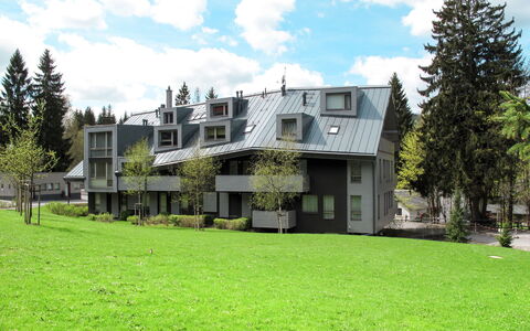 Harrachov Resident a: Casa, Zona Residenziale, Casa, Villetta, Estate, Sobborgo, Cortile, Raccordo, Landscaping