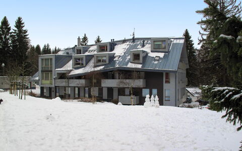 Harrachov Resident a: Casa, Inverno, Congelamento, Neve