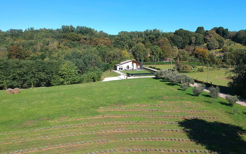 Villa Dolce Bosco with Pool, Valdobbiadene: Albero, Erba, Plain, Paesaggio, Pascolo, Arbusto, Area Rurale, Lotto, Groundcover