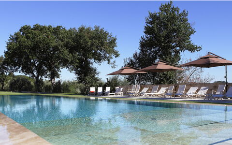 Poggio Mori 20: Piscina, Acqua, Albero, Riflessione, Mobili Da Esterno, Ricorrere, Giochi D'Acqua, Giardino, Lettino, Shade