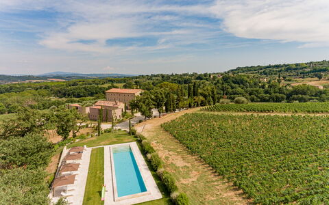 Poggio Mori 20: Paesaggio, Area Rurale, Lotto, Piantagione, Plain, Agricoltura, Estate, Campo, Azienda Agricola, Prato
