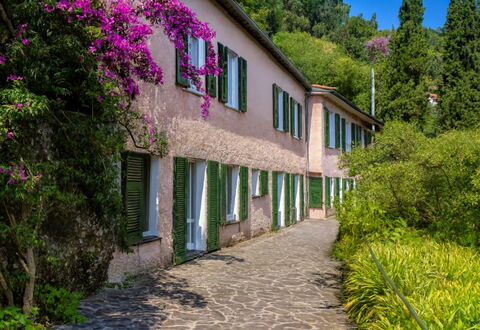 Portofino: Arbusto, Primavera, Giardino, Passerella