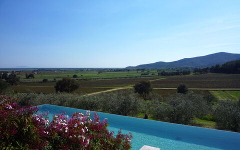 Castelprile: Blu, Piscina, Estate, Agriturismo, Piantagione, Landscaping, Eco Hotel, Hacienda, Villa, Ricorrere