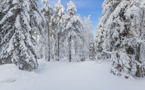 Katajamäki: Legna, Inverno, Neve, Casa, Villetta, Congelamento, Raccordo, Log Cabin, Ghiaccio