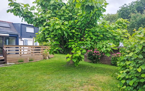 Maison de Kergoff: Foglia, Woody Impianto, Giardino, Prato, Backyard, Cortile, Shade, Landscaping