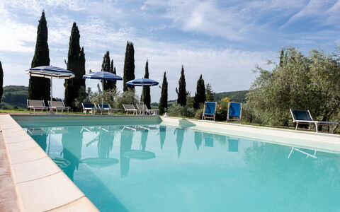 Podere le Lune with Pool, San Gimignano: Piscina, Landscaping, Mobili Da Esterno, Eco Hotel, Sempreverde, Villa, Ricorrere, Hacienda