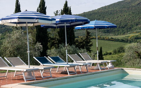 Podere le Lune with Pool, San Gimignano: Mobili Da Esterno, Ricorrere, Shade, Tavolo Esterno, Piscina, Lettino, Sedia, Eco Hotel, Ombrello, Pianta Della Casa