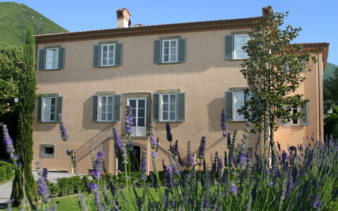 Splendida: Facciata, Casa, Insediamento Umano, Porta, Estate, Giardino, Finestra A Ghigliottina, Cortile, Villa, Agriturismo