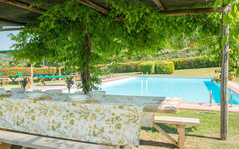 Martini: Shade, Giardino, Piscina, Eco Hotel, Hacienda, Mobili Da Esterno, Ricorrere, Backyard, Piantagione, Struttura Esterna